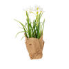 Vickerman Artificial Yellow Daffodil in Burlap Pot, Set of 2 - view 7 of 8